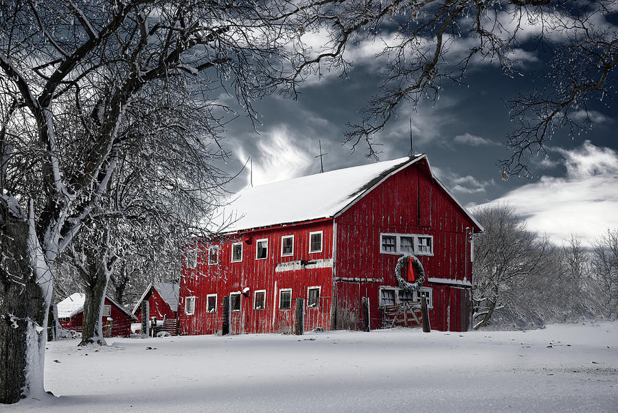 Gussied Up -  old red barn with Christmas wreath in snowy Wisconsin setting Photograph by Peter Herman