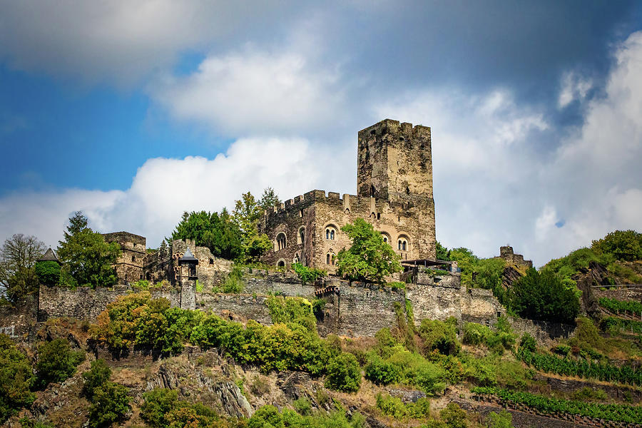 Gutenfels Castle Photograph by Ron Long Ltd Photography