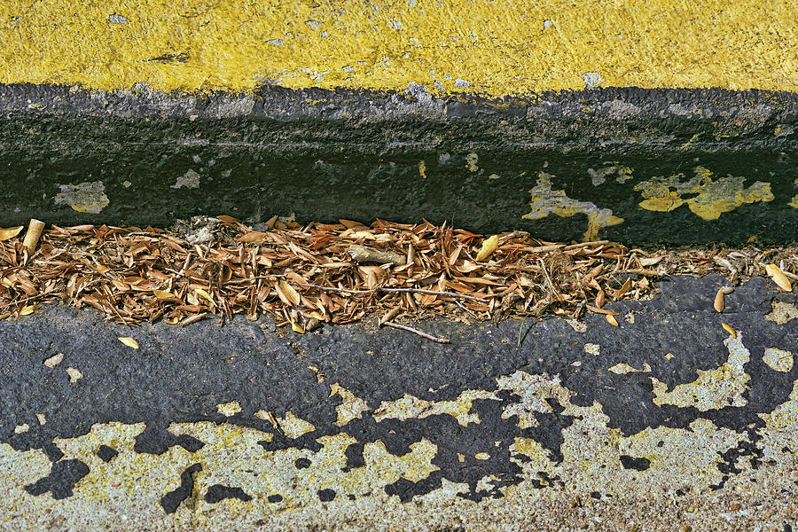 Gutter Abstract - Two Photograph by Nikolyn McDonald