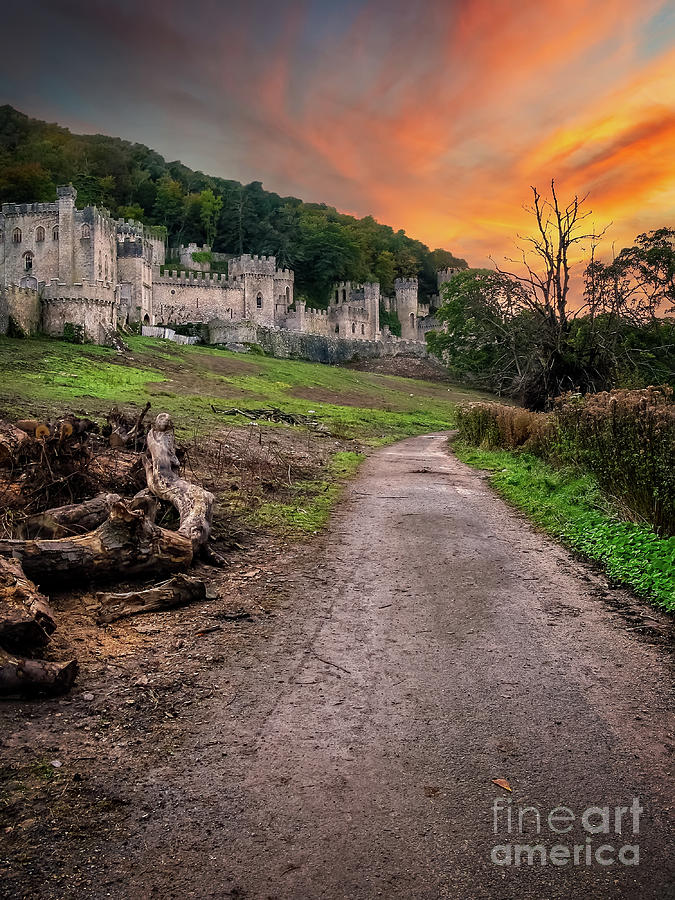 Gwrych Castle Abergele Wales Photograph by Adrian Evans