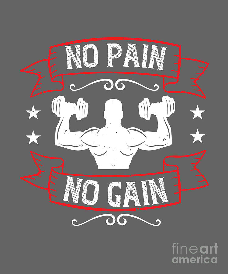 Gym Digital Art - Gym Lover Gift No Pain No Gain Funny Workout by Jeff Creation