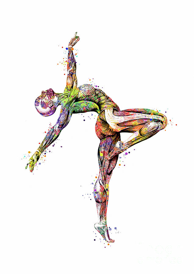 Gymnastics Anatomy Muscles Colorful Watercolor Gift Digital Art by White Lotus