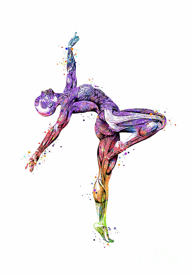 Gymnast Muscle Anatomy Watercolor Digital Art by White Lotus - Fine Art ...