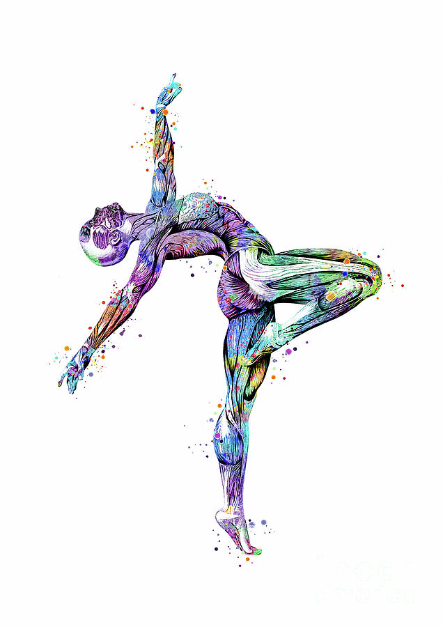 Gymnastics Muscles Colorful Anatomy Watercolor Digital Art by White Lotus