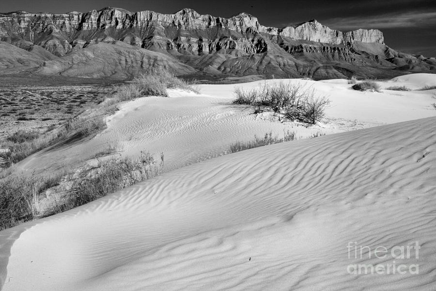 Gypsum Curves Below The Guadalupe Mountains Black And White Photograph by Adam Jewell