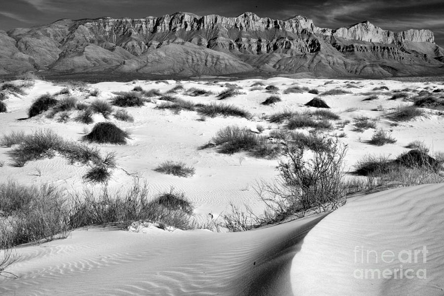 Gypsum Dunes Below The Guadalupe Mountains Black And White Photograph by Adam Jewell