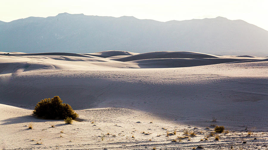 Gypsum Sand Dune #2 Photograph by Dan Hartford