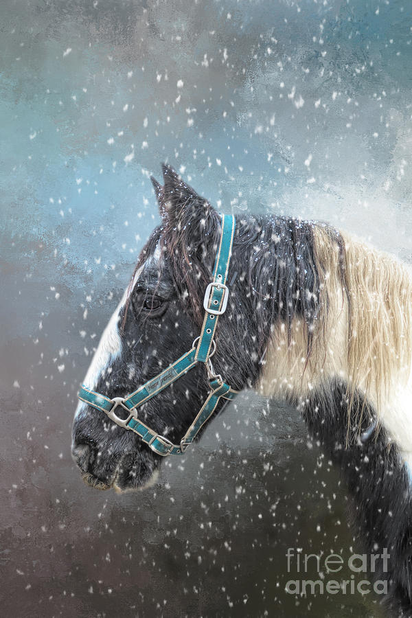 Gypsy Horse Mixed Media - Gypsy Horse and Snowflakes by Elisabeth Lucas