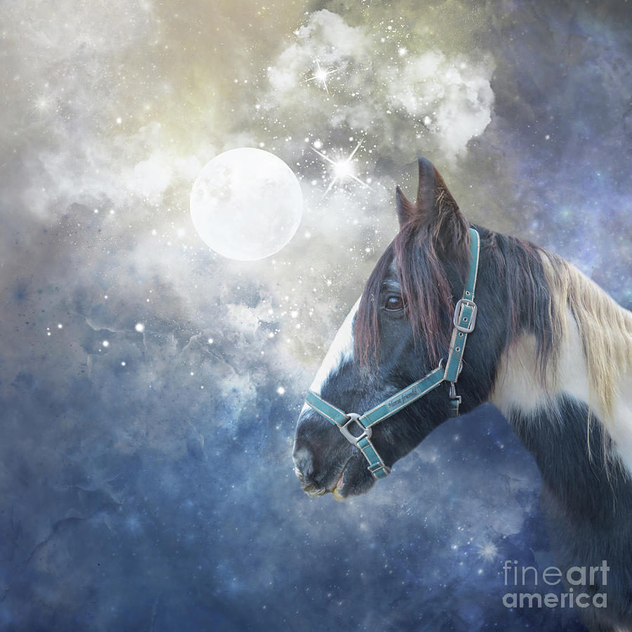 Gypsy Horse Mixed Media - Gypsy Horse under a Full Moon by Elisabeth Lucas