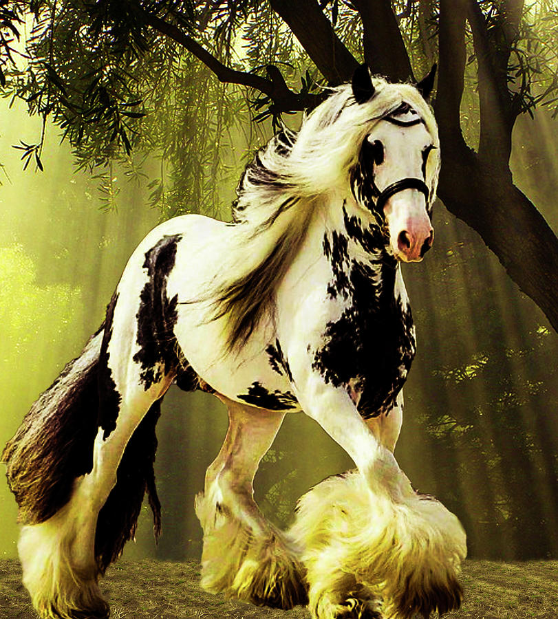 Gypsy Varner Horse. Mixed Media by Teresa Trotter