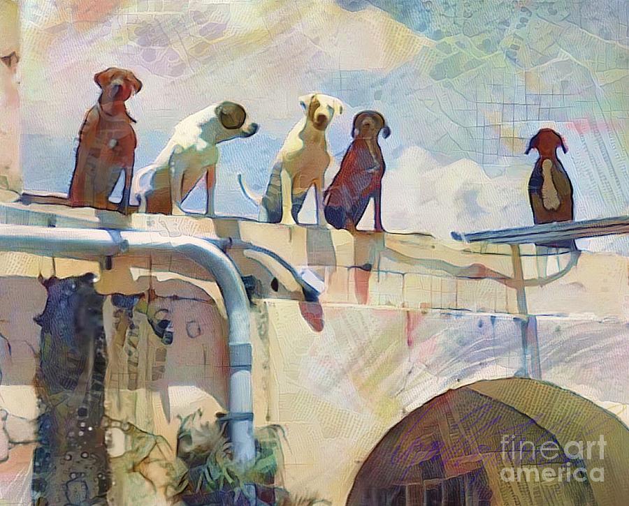 H Dogs on Downtown Rooftop in Christiansted St Croix - Horizontal2 Painting by Lyn Voytershark
