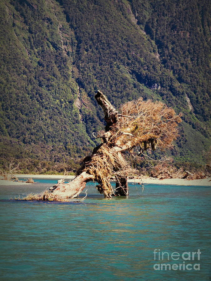 Haast  River, New Zealand Photograph by Elaine Teague