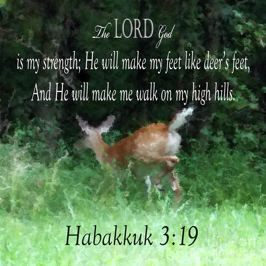 Habakkuk 3 19 Digital Art by Anita Faye