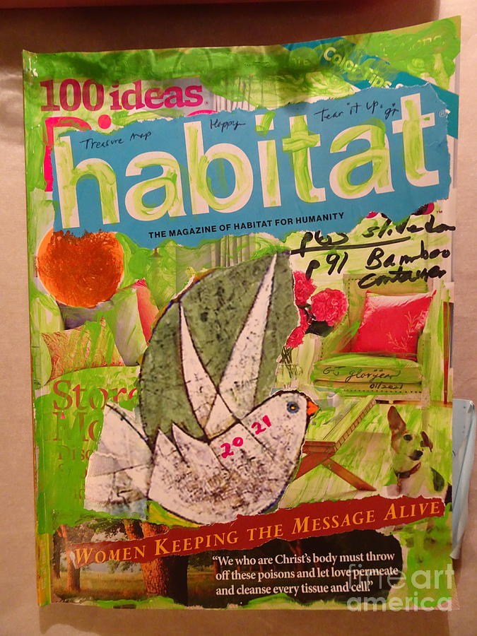 Habitat 2021 Ideas Photograph