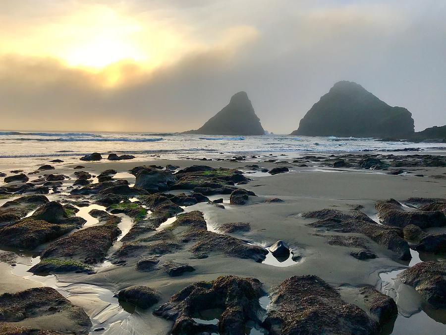 Haceta Head Lighthouse Beach Photograph By Claudia Paige - Fine Art America