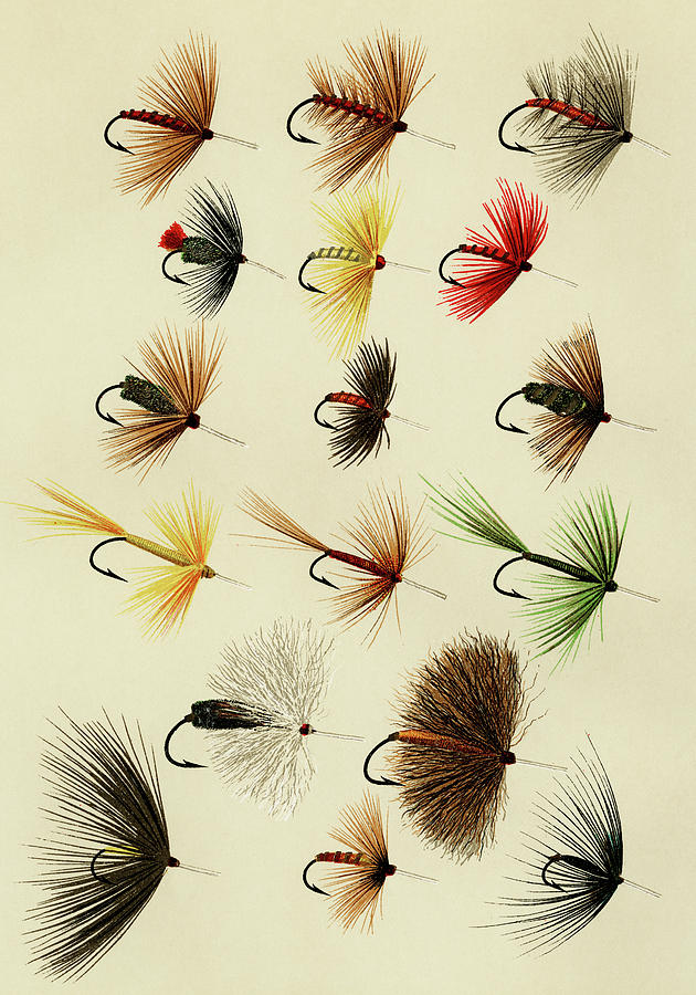 Hackles Flies Favorite Flies and Their Histories Mixed Media by Movie Poster Prints