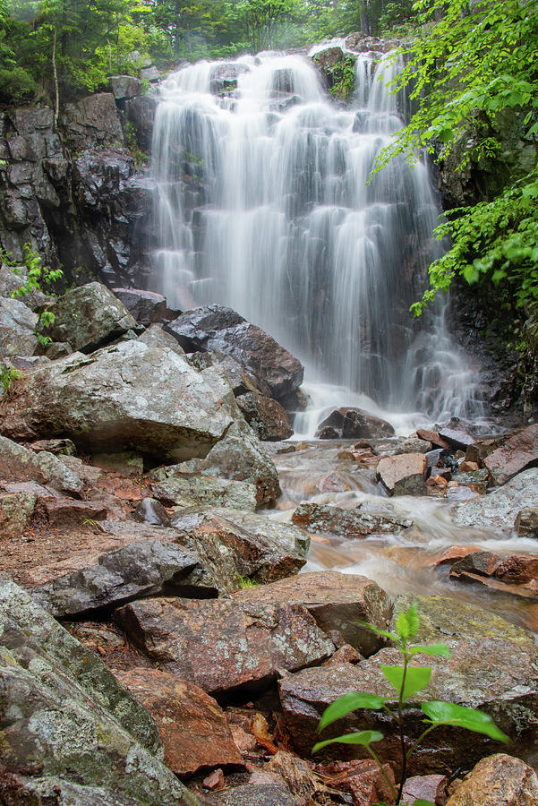 Hadlock Brook Falls Photograph by Liz Atterbury - Fine Art America