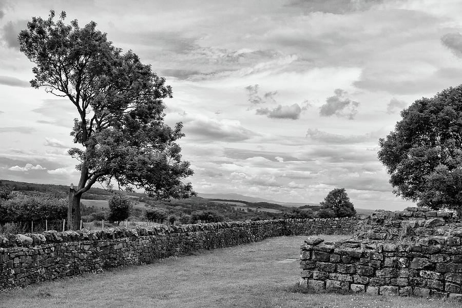 Hadrians Wall Mono Photograph by Shirley Mitchell