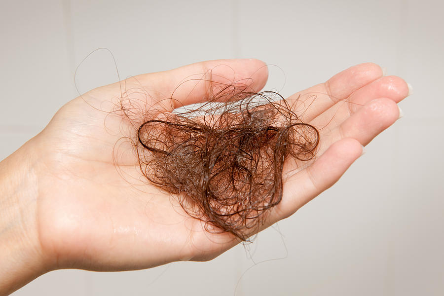Hair Loss - Woman holding up a Hairball (XXXL) Photograph by 4fr