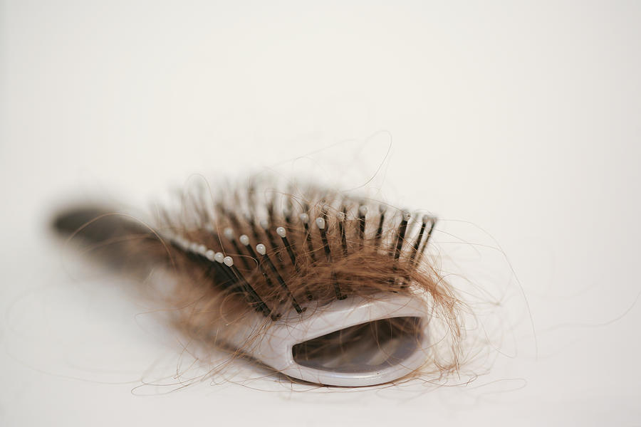 Hairbrush with strands of auburn hair stuck in it Photograph by Splain2me