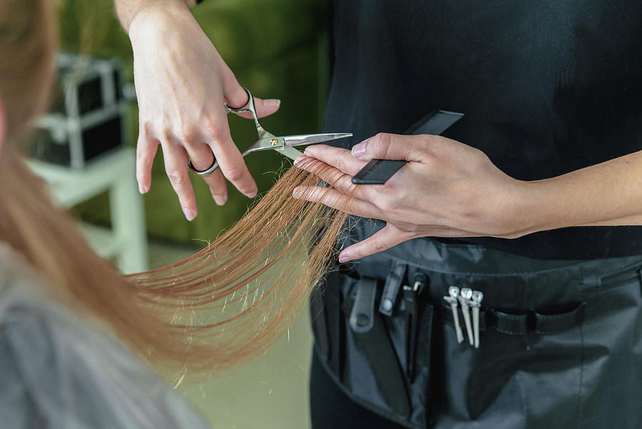 Hairdresser cut hair of a blonde young woman in hair salon Photograph ...