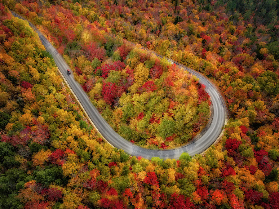 Hairpin Road Fall Foliage NH Photograph by Susan Candelario