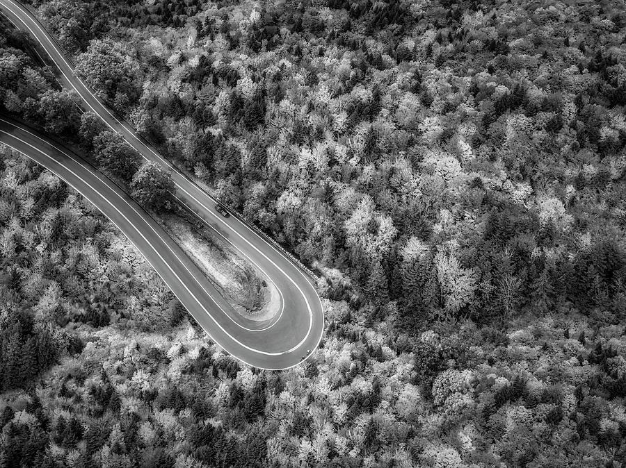 Hairpin Turn NY BW Photograph by Susan Candelario