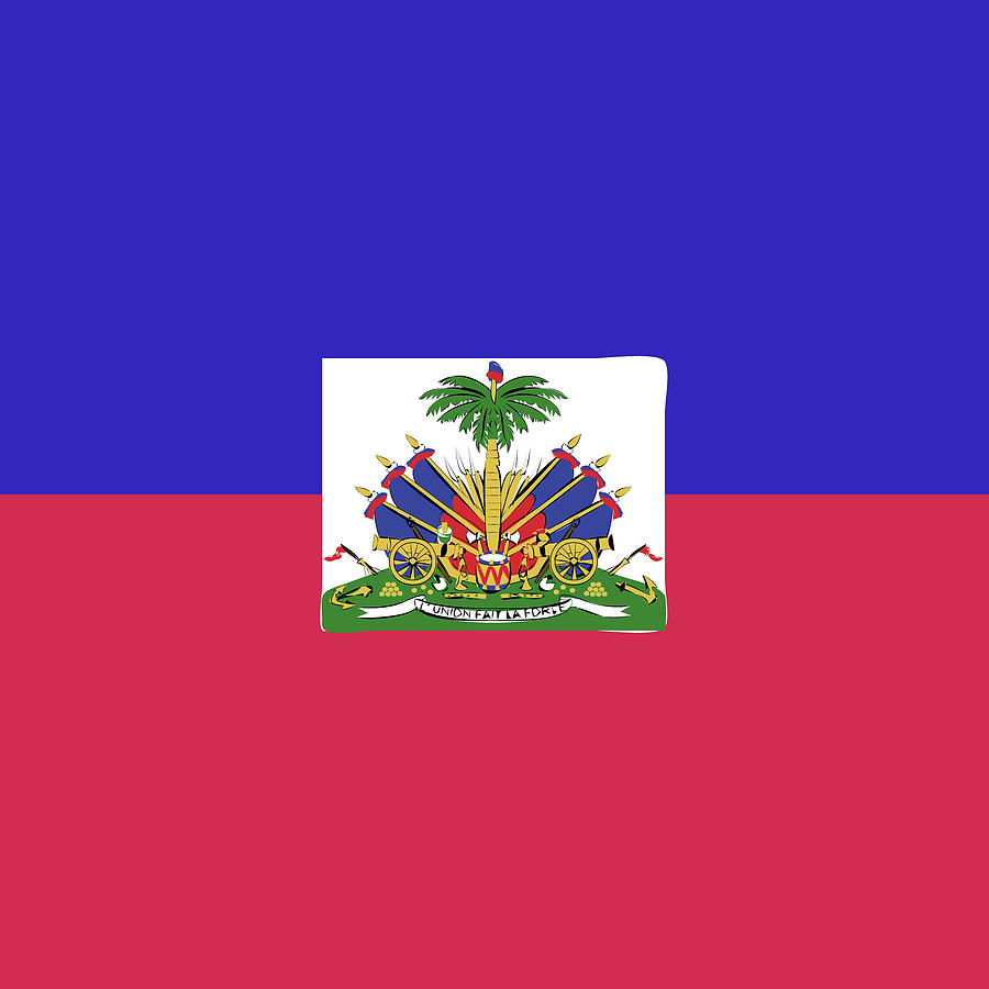 Haiti flag emblem Mixed Media by Alexander Nedviga