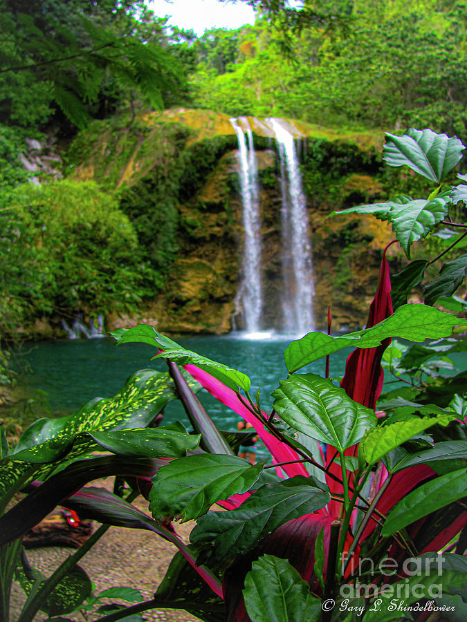 Haitian Waterfall Photograph