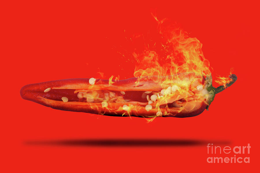 Half a red chili pepper on fire with seeds Photograph by Simon Bratt
