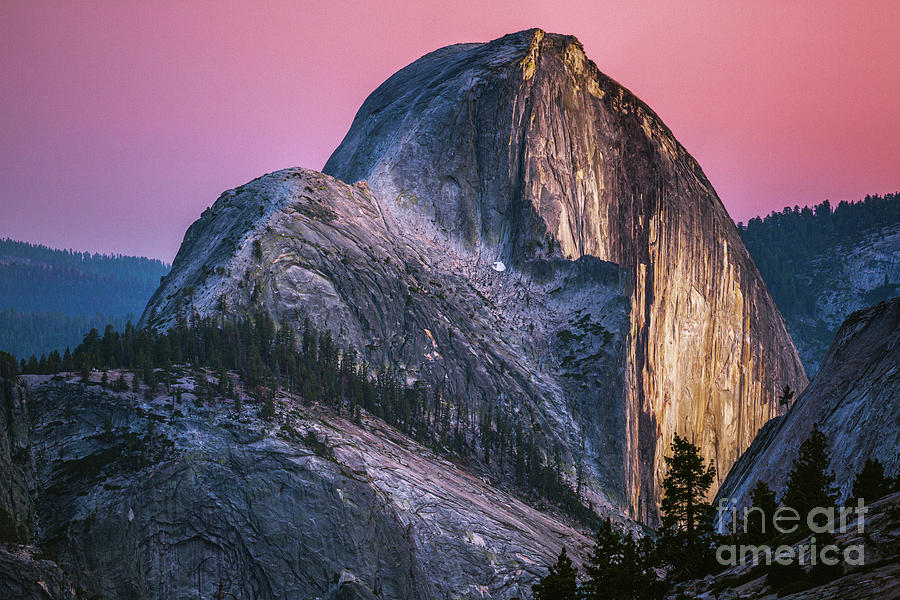 Half Dome Alpenglow Photograph by Anthony Michael Bonafede