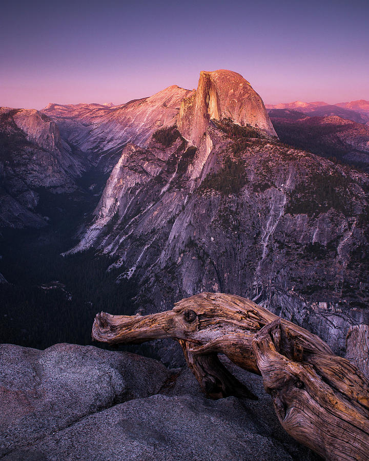 Half Dome Alpenglow Photograph by Davorin Mance