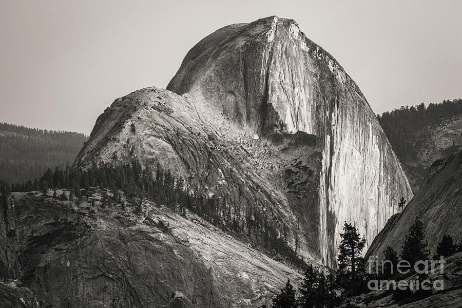 Half Dome Photograph by Anthony Michael Bonafede