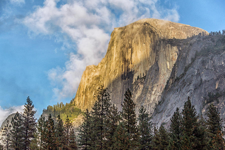Half-Dome Basking - Yosemite, CA - Y206 Photograph by Bruce McFarland