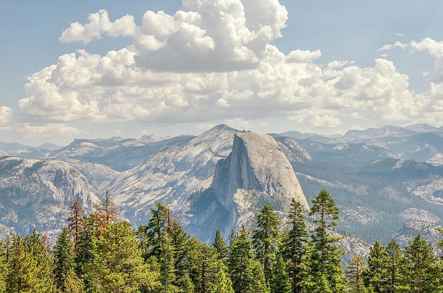 Half Dome Between Beauty Photograph by Joseph S Giacalone