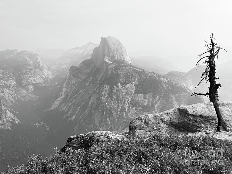 Half Dome Black and White Photograph by Saving Memories By Making Memories Half Dome Black and White Photograph by Saving Memories By Making Memories