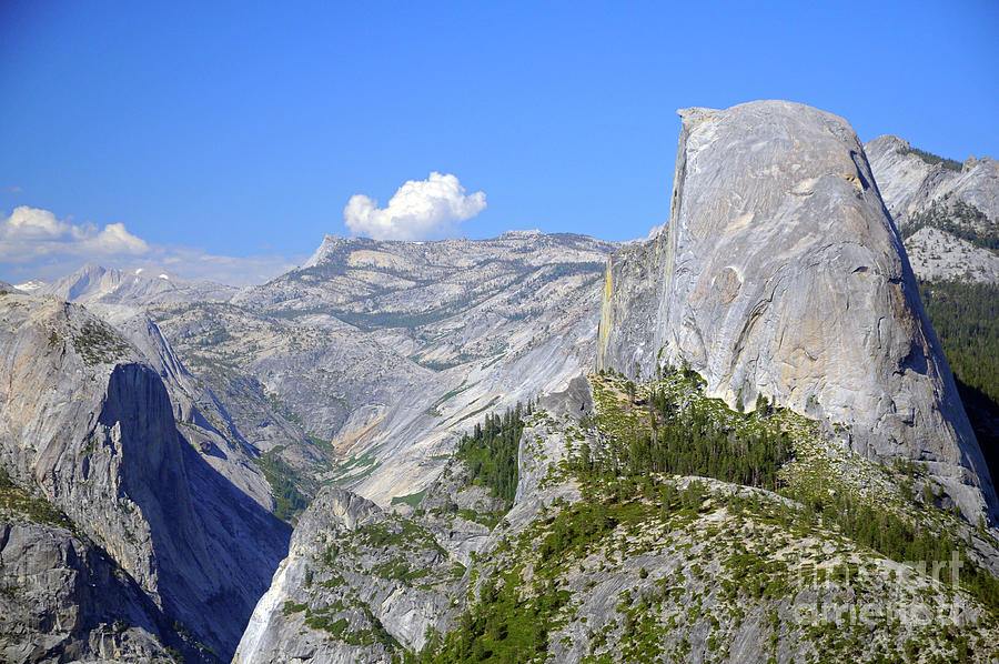 Half Dome  Photograph by Cindy Murphy
