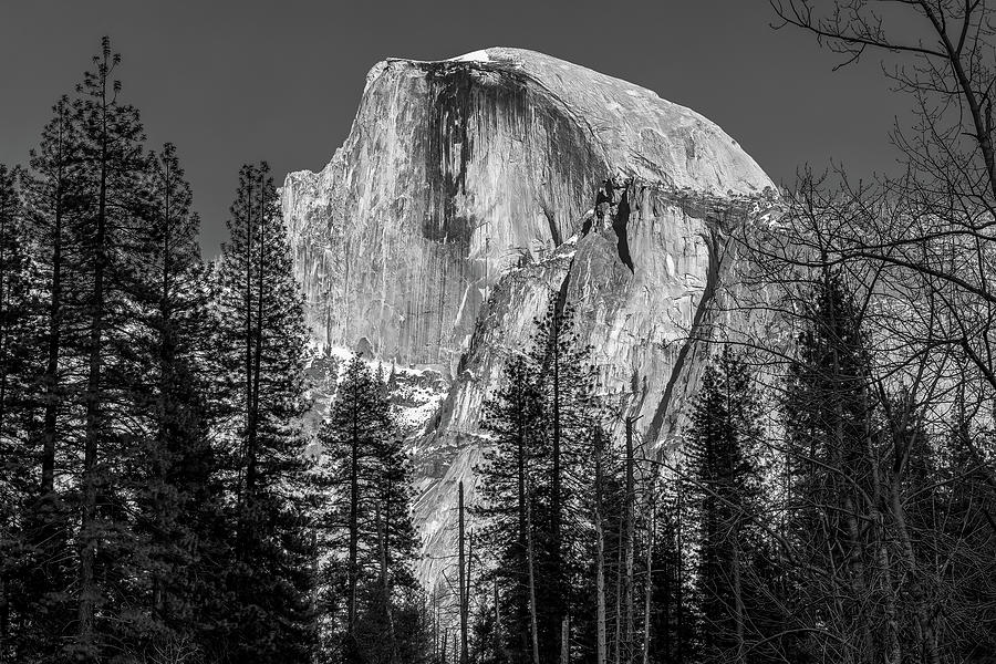 Half Dome Close-Up BW Photograph by Eric Glaser