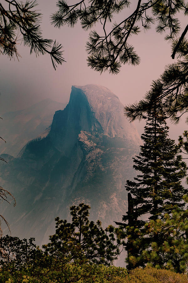 Half Dome Close Up Photograph by Cindy Robinson