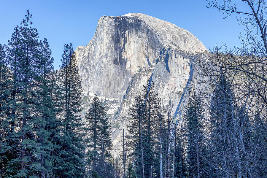 Half Dome Close-Up Photograph by Eric Glaser