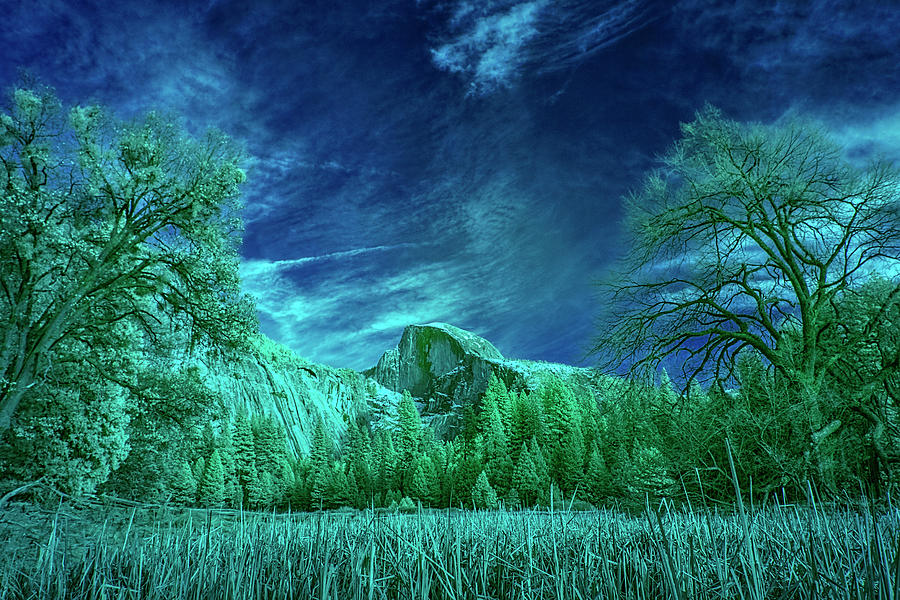 Half Dome Colored Infrared  Photograph by Romeo Victor