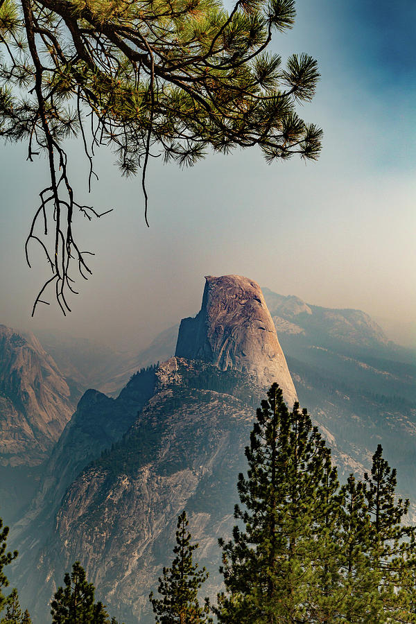 Half Dome Framed by Trees Photograph by Cindy Robinson