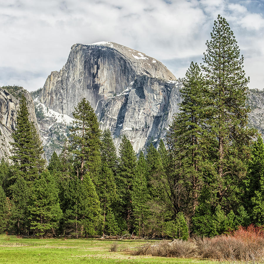 Half Dome from Cooks Meadow - Yosemite, CA - Y446 Photograph by Bruce McFarland
