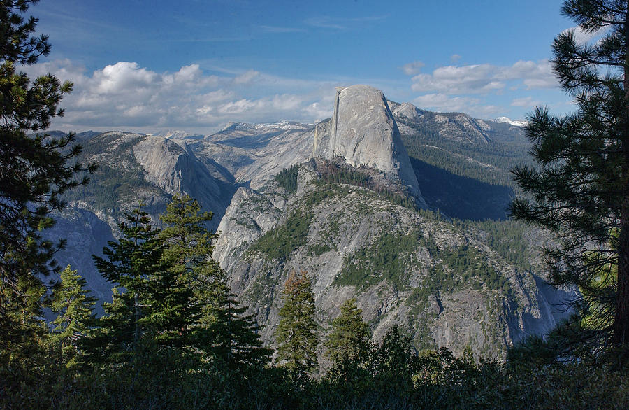 Half Dome from Glacier Point Road Photograph by Bonnie Colgan