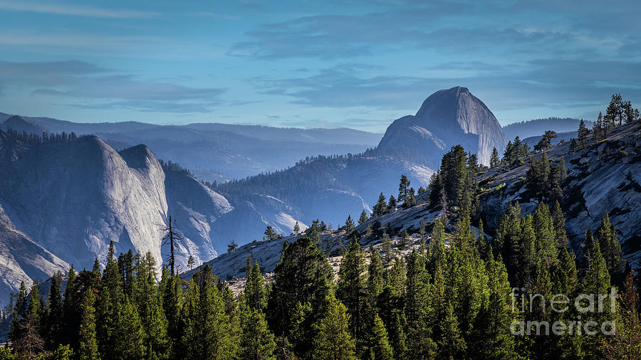 Half Dome From Olmstead Point Photograph by Mimi Ditchie