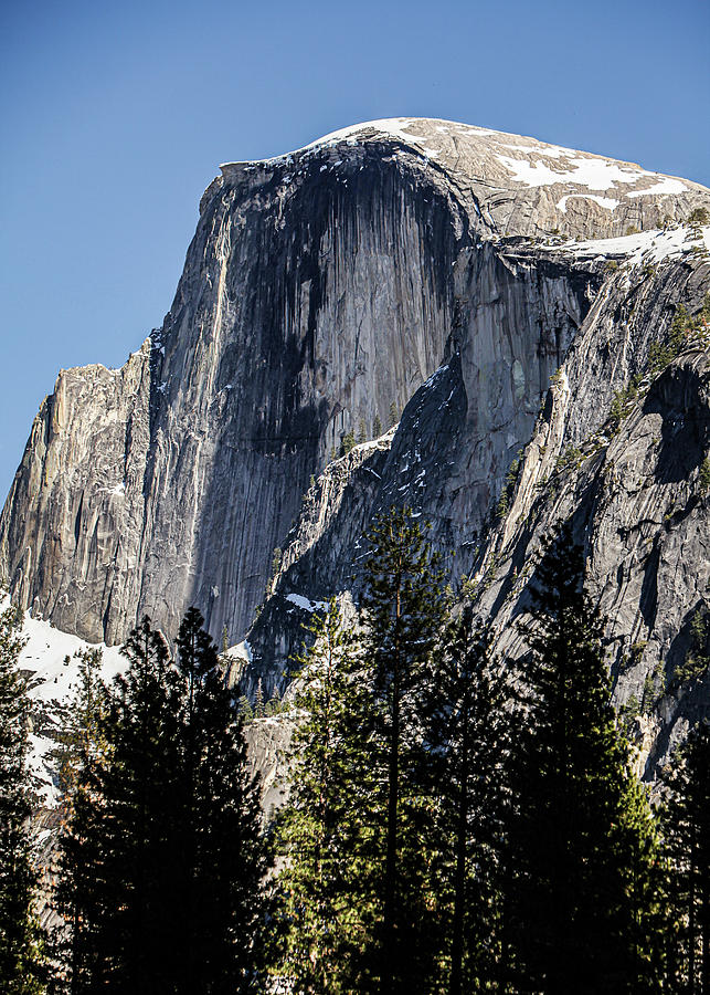 Half Dome from the Valley Floor Photograph by Don French - Fine Art America