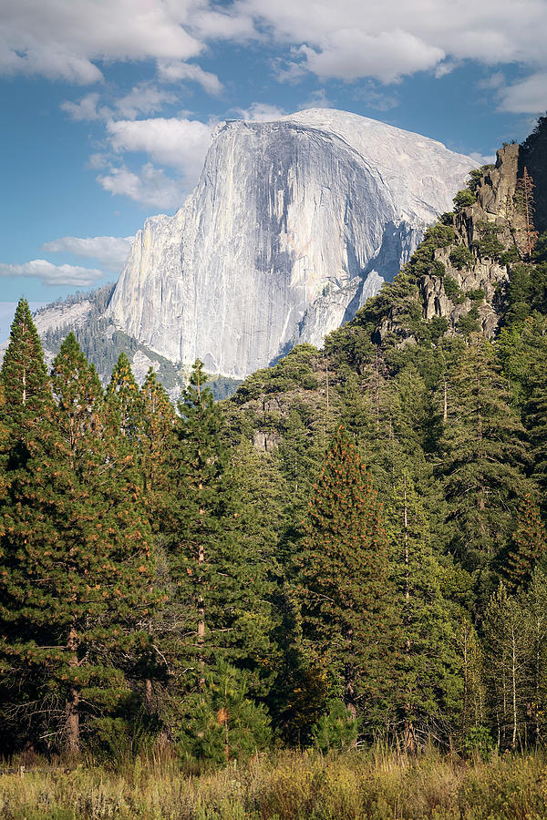 Half Dome from Yosemite Valley Photograph by Gary Geddes