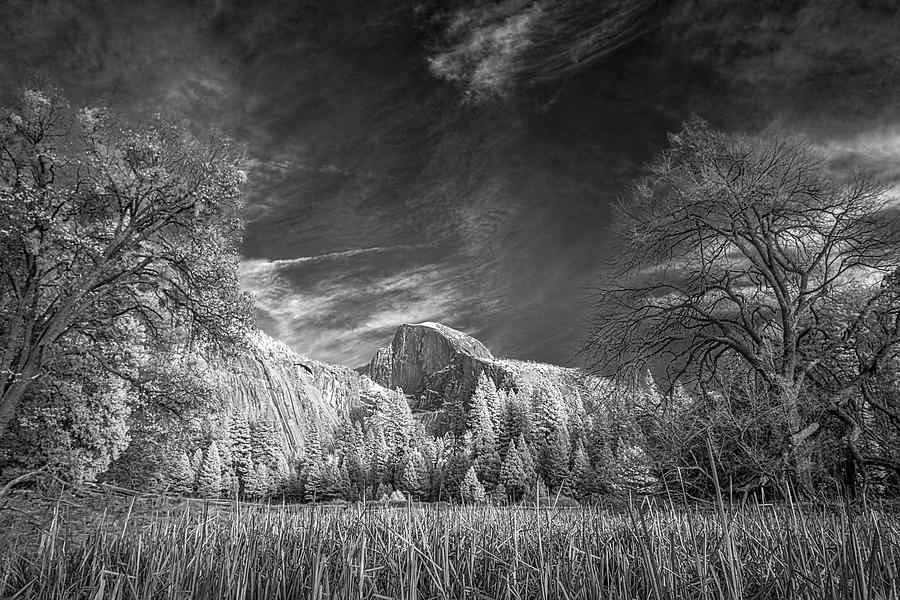 Half Dome in Infrared Photograph by Romeo Victor