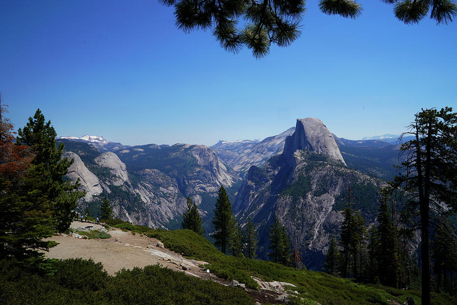 Half Dome in Yosemite Photograph by Rick Wilking