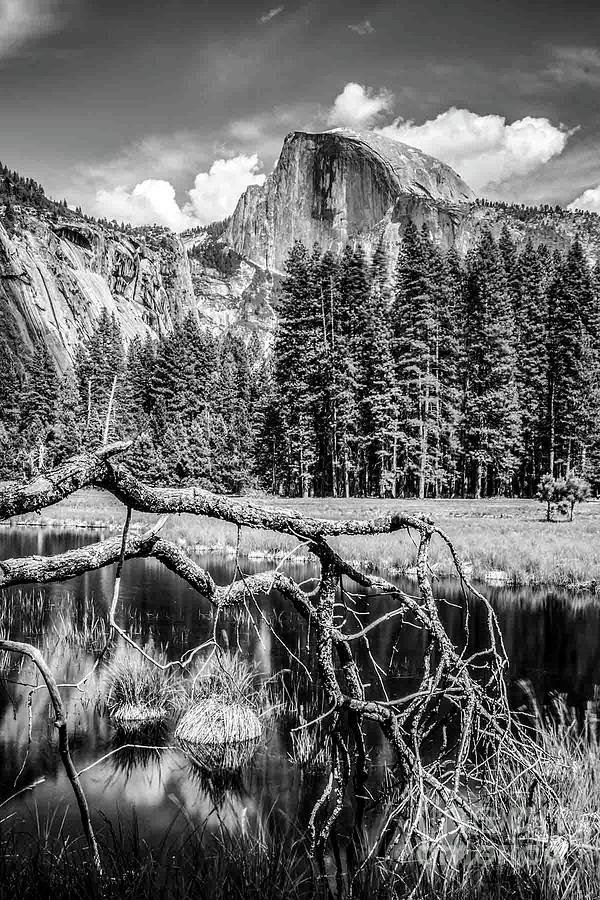 Half Dome - Yosemite Series #1 - CA, USA - 2013 4/10 Photograph by Robert Khoi